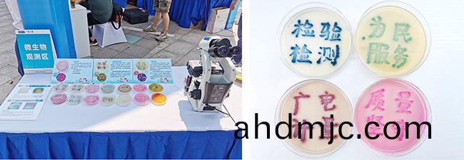 2019全國檢驗檢(jian)測(ce)機構開放日活動在長(zhang)沙啟(qi)動