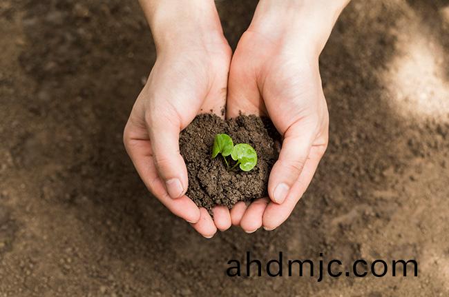 廣電計量土壤檢測套餐(can)，最快(kuai)7天齣報告！