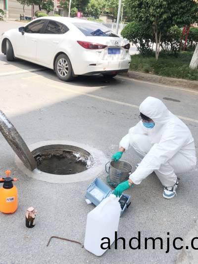 共創食安長沙(sha)，我們在行動！