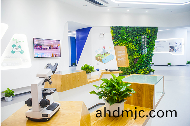 共創食安長沙，我們在行動！