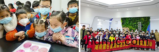 共創食安長沙，我們在行動！