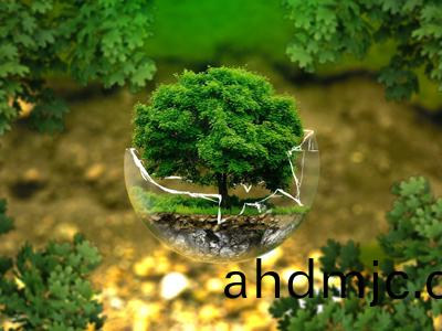 生態環(huan)境檢測(ce)